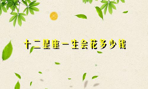 十二星座一生会花多少钱