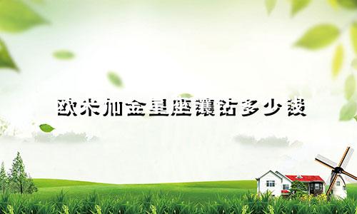 欧米加金星座镶钻多少钱