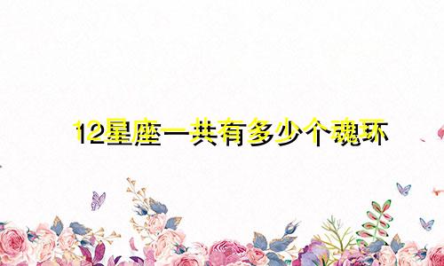 12星座一共有多少个魂环