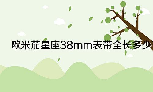 欧米茄星座38mm表带全长多少节