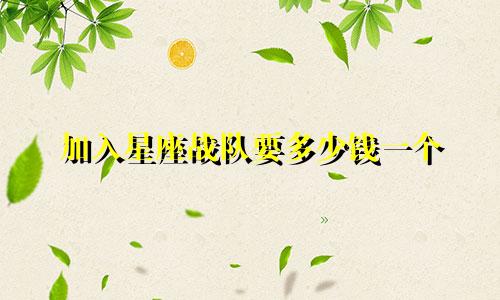 加入星座战队要多少钱一个