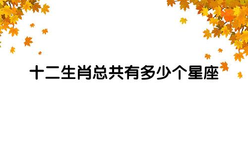 十二生肖总共有多少个星座