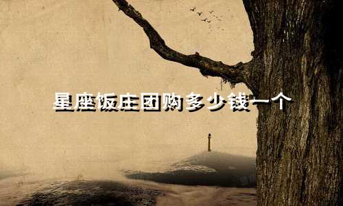 星座饭庄团购多少钱一个