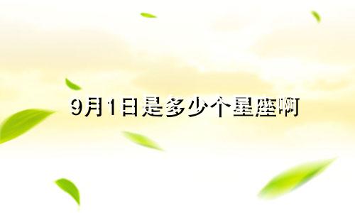 9月1日是多少个星座啊