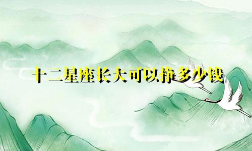 十二星座长大可以挣多少钱