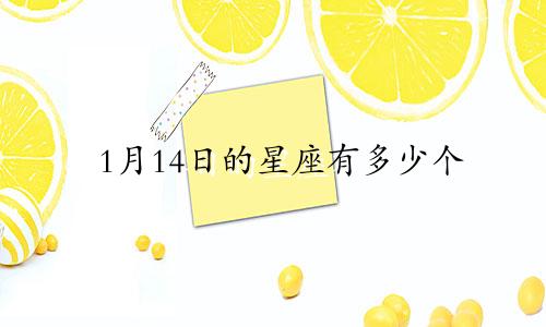 1月14日的星座有多少个