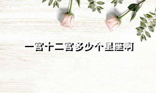 一宫十二宫多少个星座啊