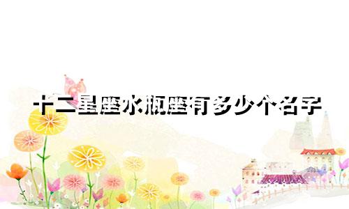 十二星座水瓶座有多少个名字