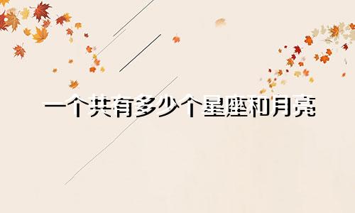 一个共有多少个星座和月亮