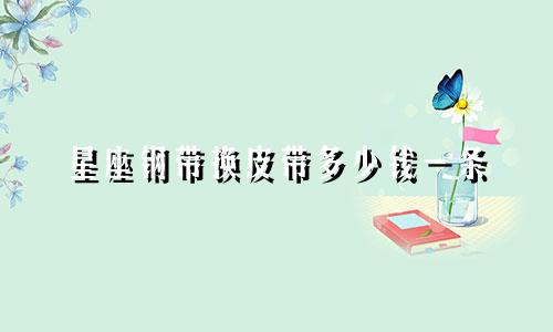 星座钢带换皮带多少钱一条