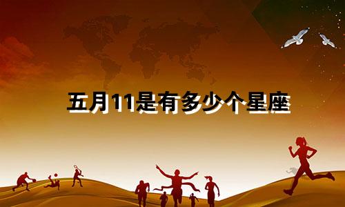 五月11是有多少个星座