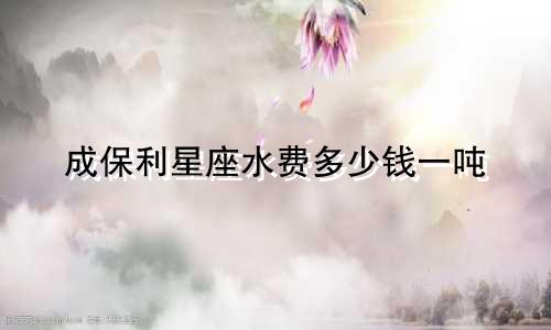 成保利星座水费多少钱一吨