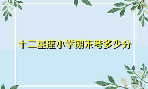 十二星座小学期末考多少分