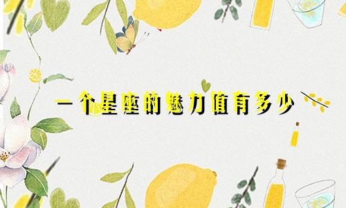 一个星座的魅力值有多少
