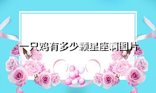 一只鸡有多少颗星座啊图片