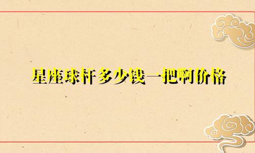星座球杆多少钱一把啊价格