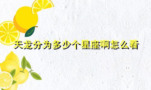 天龙分为多少个星座啊怎么看
