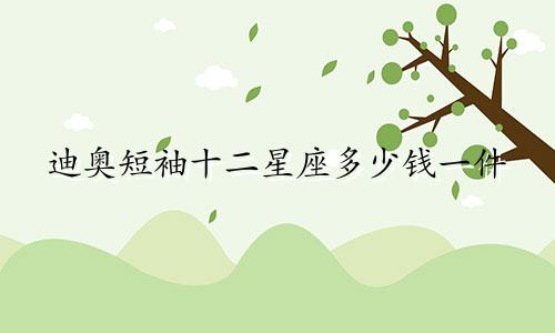 迪奥短袖十二星座多少钱一件