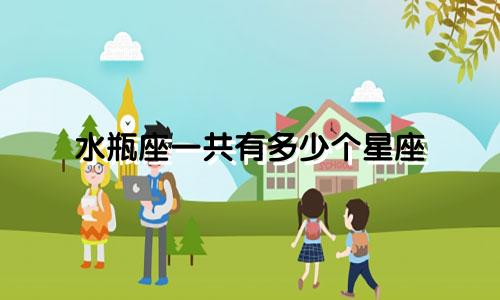 水瓶座一共有多少个星座