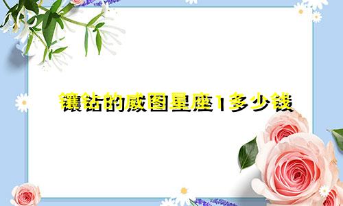 镶钻的威图星座1多少钱