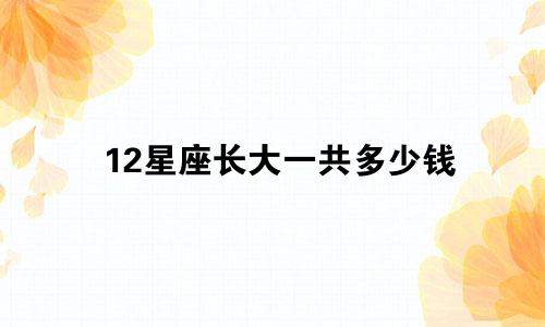 12星座长大一共多少钱