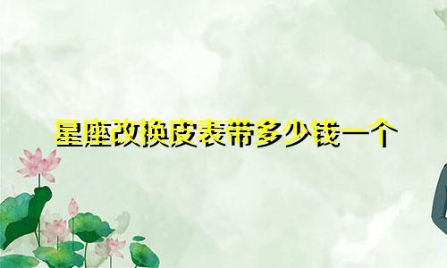 星座改换皮表带多少钱一个