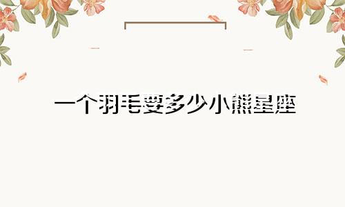 一个羽毛要多少小熊星座