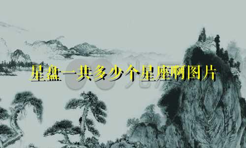 星盘一共多少个星座啊图片