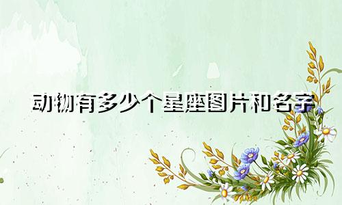 动物有多少个星座图片和名字