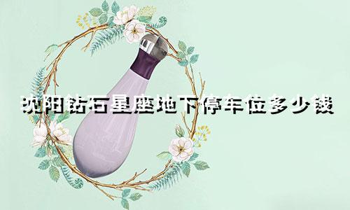 沈阳钻石星座地下停车位多少钱