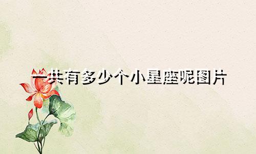 一共有多少个小星座呢图片