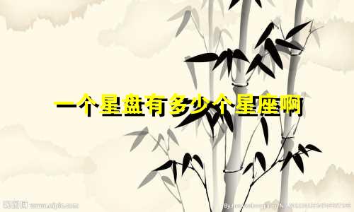 一个星盘有多少个星座啊