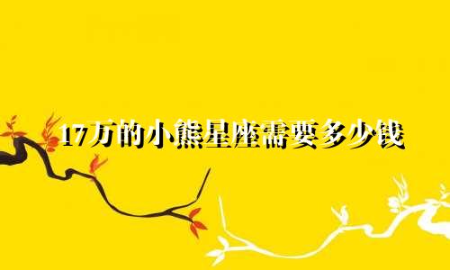 17万的小熊星座需要多少钱