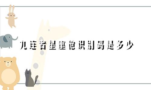 九连者星座枪识别码是多少