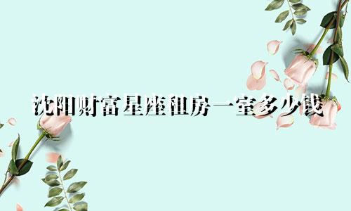 沈阳财富星座租房一室多少钱