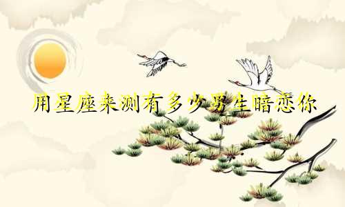 用星座来测有多少男生暗恋你