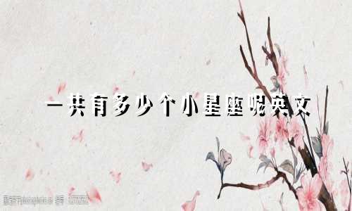 一共有多少个小星座呢英文