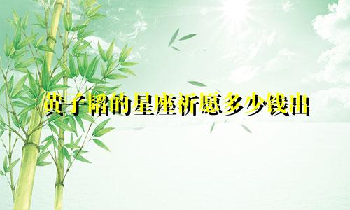 黄子韬的星座祈愿多少钱出