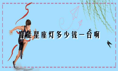 智能星座灯多少钱一台啊
