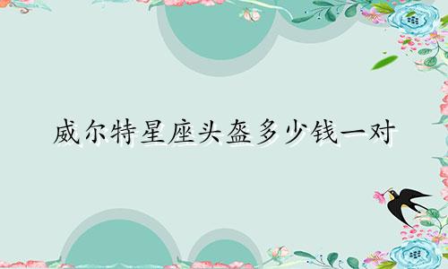 威尔特星座头盔多少钱一对