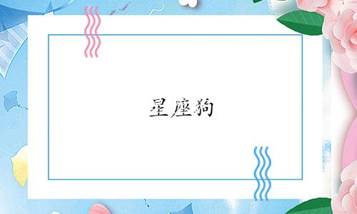 星座狗 手机壳多少钱一个