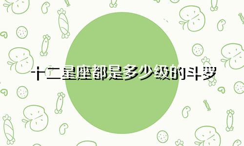 十二星座都是多少级的斗罗