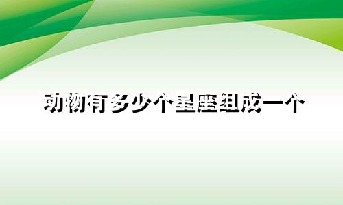 动物有多少个星座组成一个
