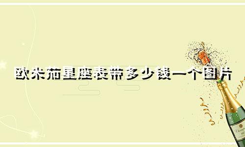 欧米茄星座表带多少钱一个图片