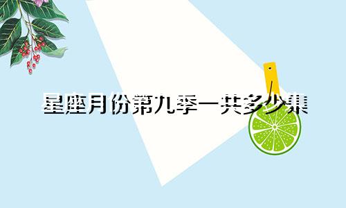 星座月份第九季一共多少集