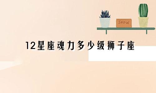 12星座魂力多少级狮子座