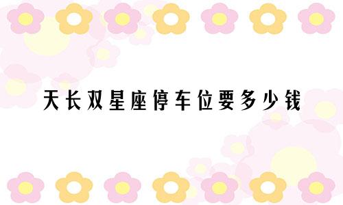 天长双星座停车位要多少钱