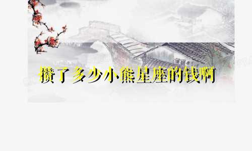 攒了多少小熊星座的钱啊