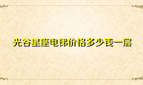 光谷星座电梯价格多少钱一层