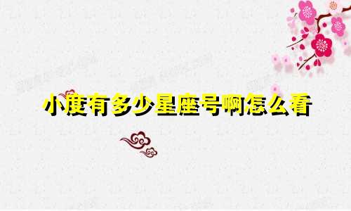 小度有多少星座号啊怎么看